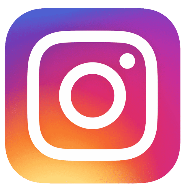 img-iconeinsta